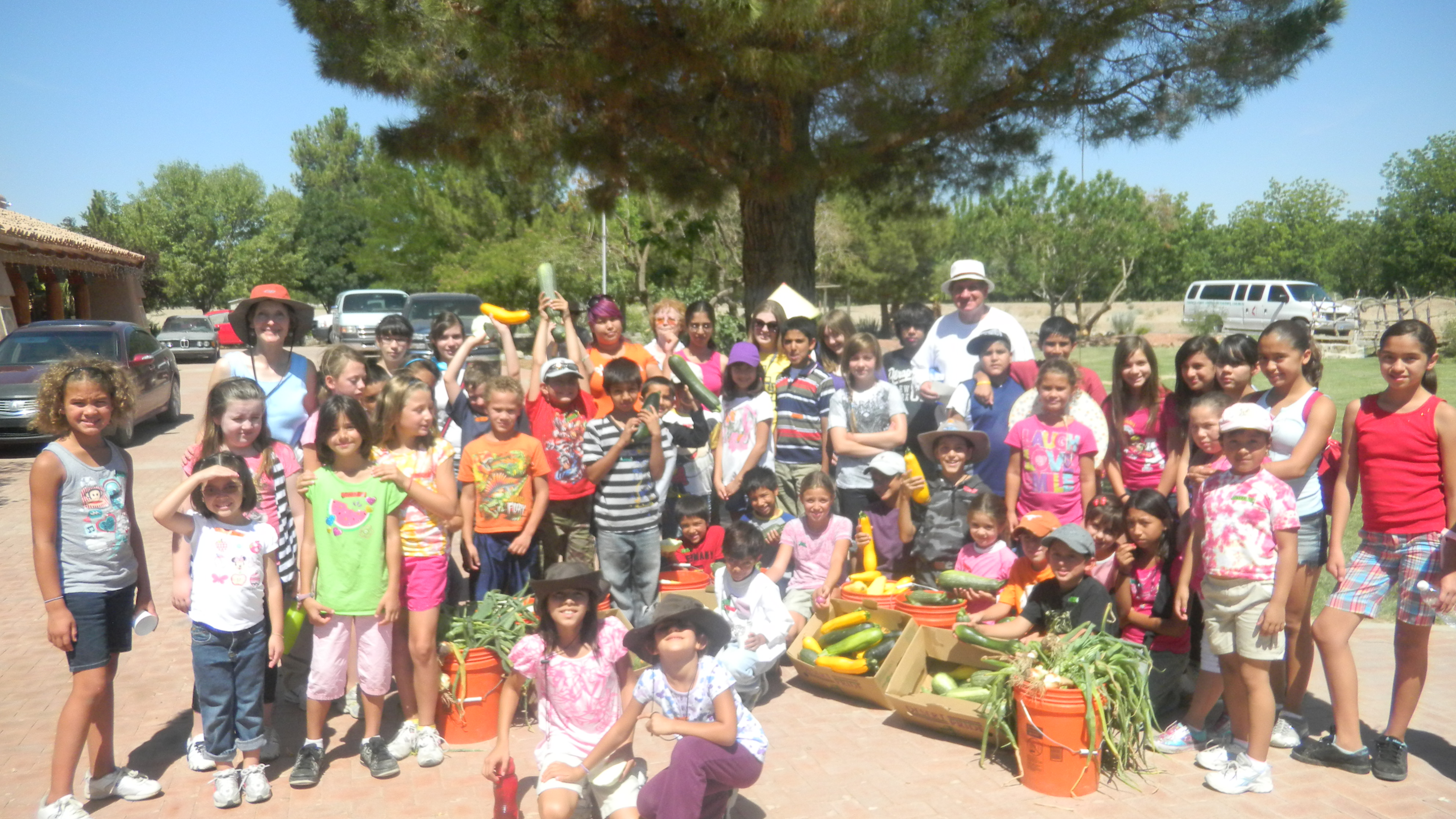 Cooking Camp Kids